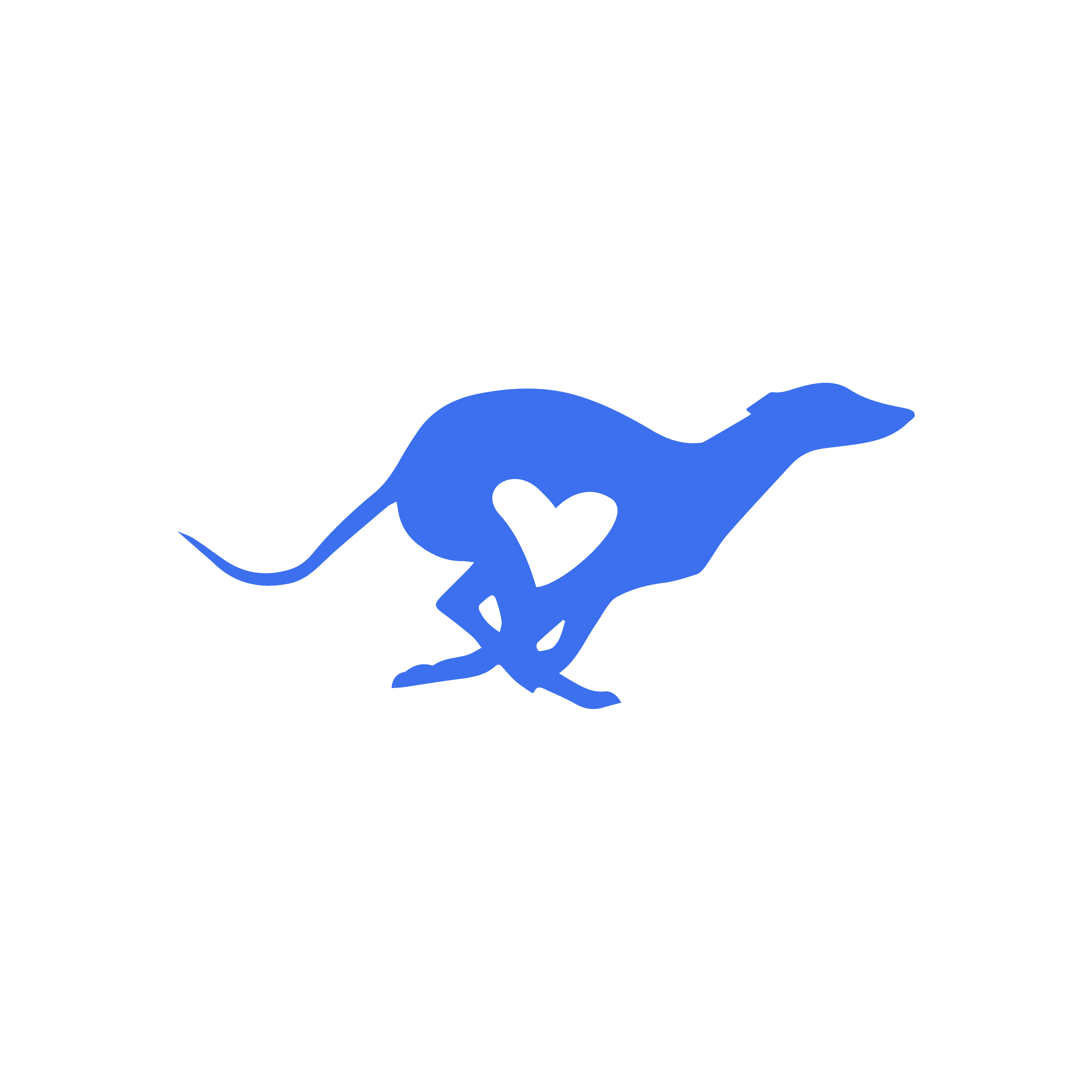 Blue greyhound